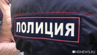 В Подмосковье задержаны злоумышленники, пытавшиеся поджечь железнодорожные релейный шкаф за вознаграждение